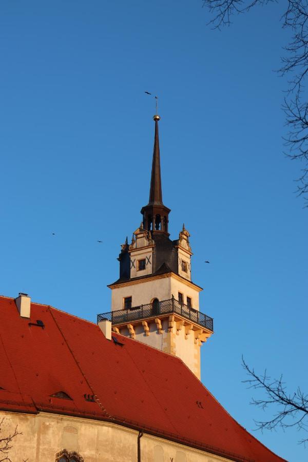 11 * Torgau